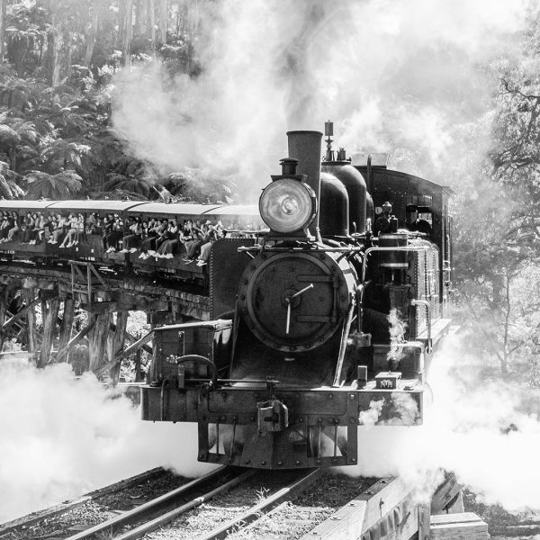 8-31160-13124-All Aboard-Peter White