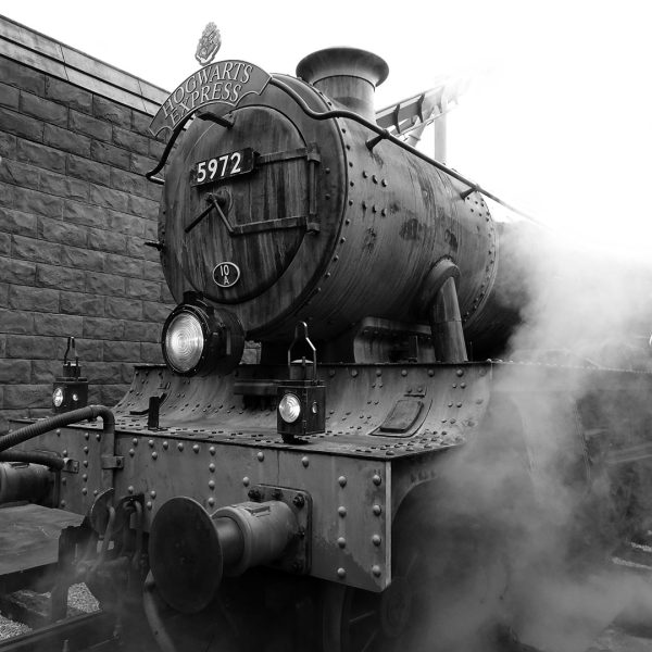 Honour---Anne-McDonald---Hogwarts-Express