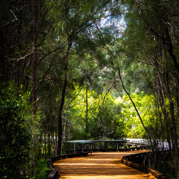 Honour---Darryl-Wells---Mystery-Walk