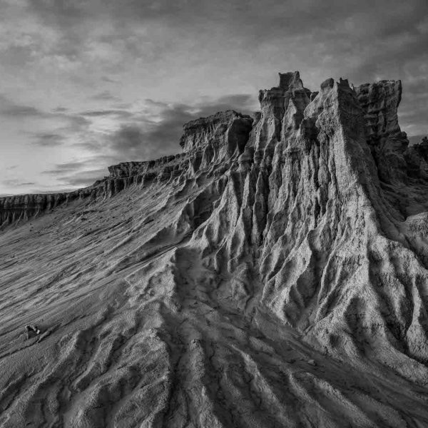 Honour---Gabrielle-Chisholm---Silence-in-the-Lunette