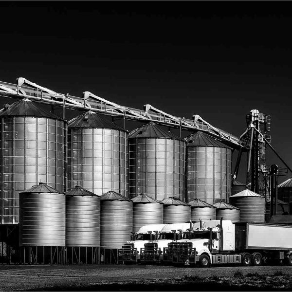 Honour---Gerry-Allen---Cathedrals-of-the-Harvest