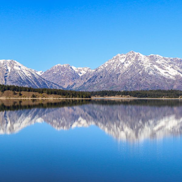 Honour---Ian-Withnall---Grand-Tetons-panorama