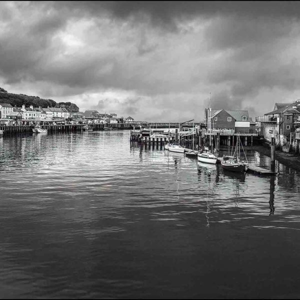 Honour---Jane-Howie---Whitby-Harbour