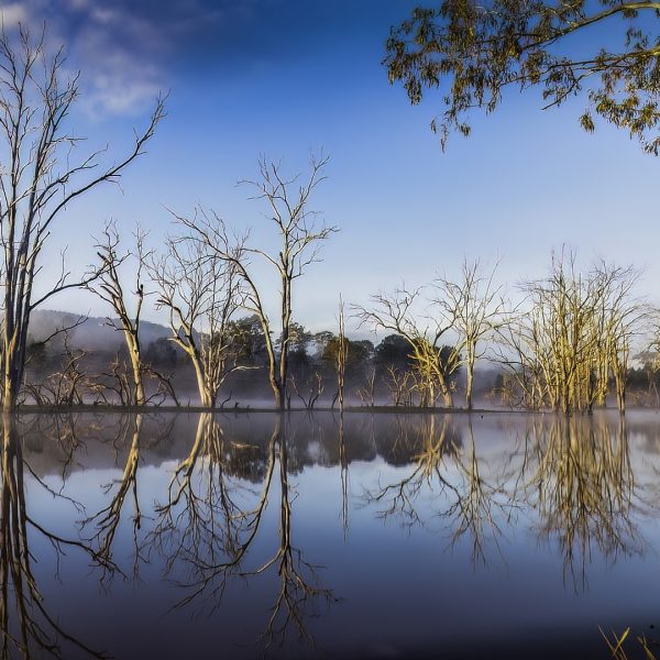 Honour---John-Bayne---Morning-light-on-the-lake