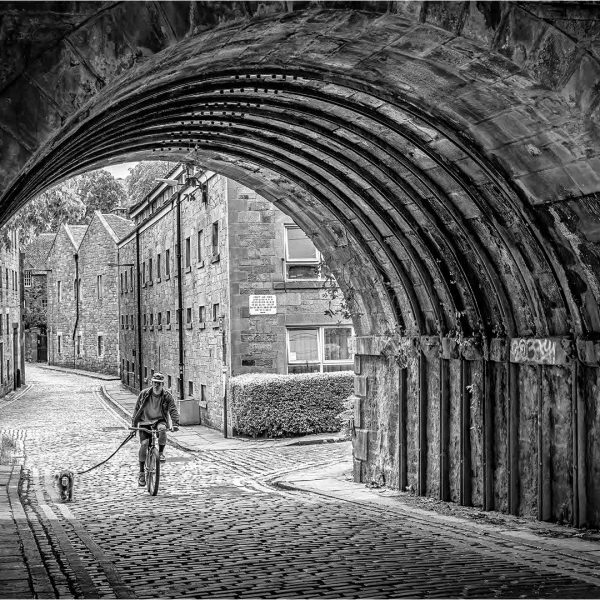 Honour---John P-Stein---Croft-an-righ