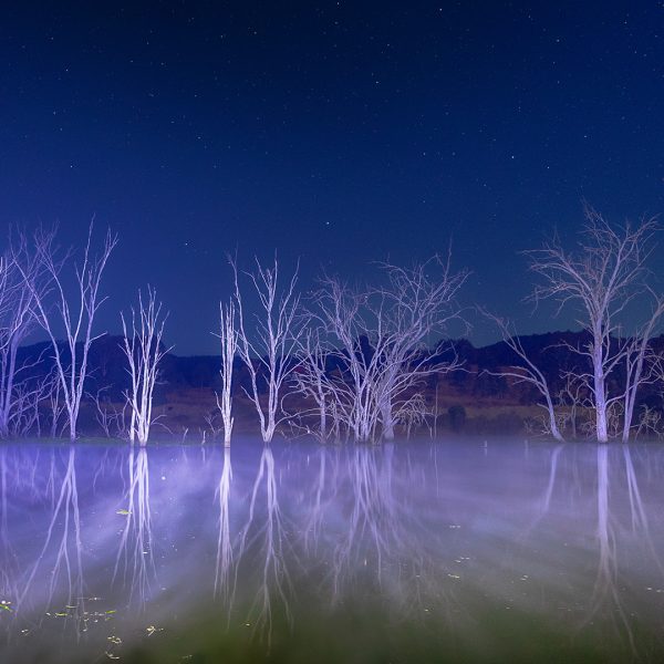 Honour---Judy-Powell---Ghostly-Gallery