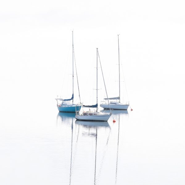 Honour---Kim-McHardy---Yachts-Beauty-Point