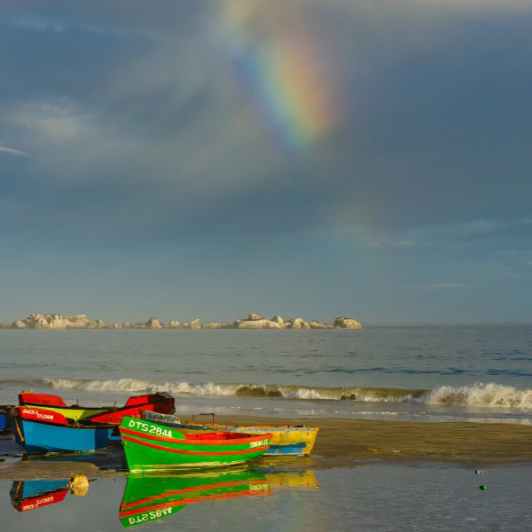 Honour---Lynette-Romano---early-morning-colour-burst