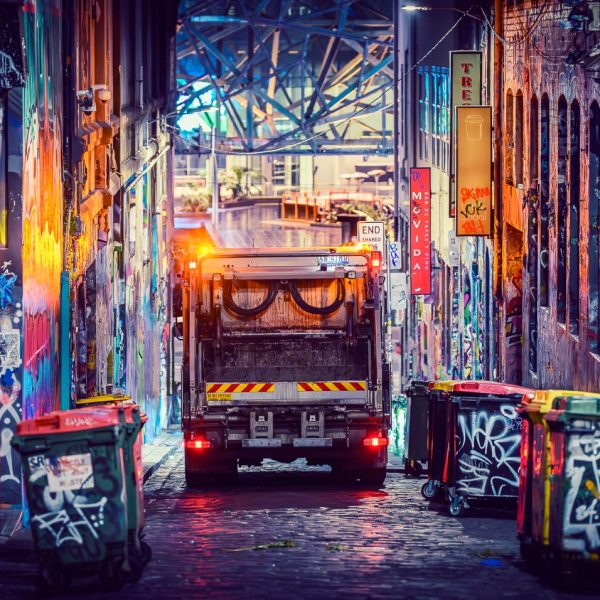 Honour---Marilyn-Davies---A-Riot-of-Colour