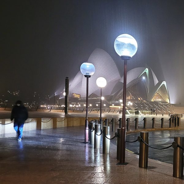 Honour---Phil-Kenward---Rainy-Opera