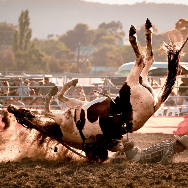 Honour---Rocco-Zampaglione---Get-me-out-of-here