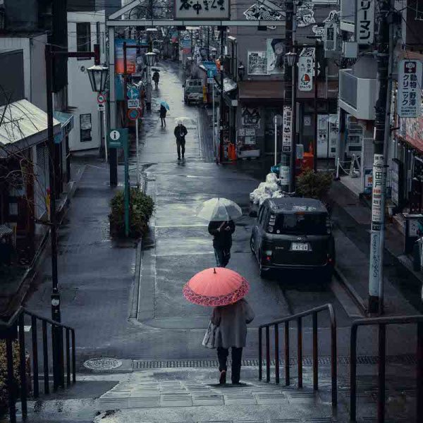 Honour---Rocco-Zampaglione---Wet-Morning-Movement