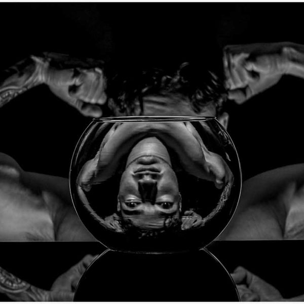 Merit---Elaine-Simmonds---The-Distorted-Self