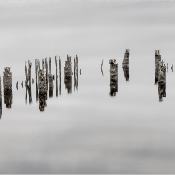 Merit---Graham-Bowden---Peirless-Reflections