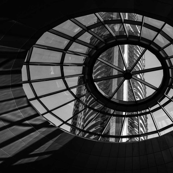 Merit---Jim-Psaltis---Through-a-Skylight