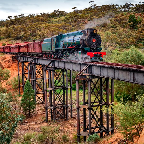 Merit---John P-Stein---Pichi-Richi-Railway