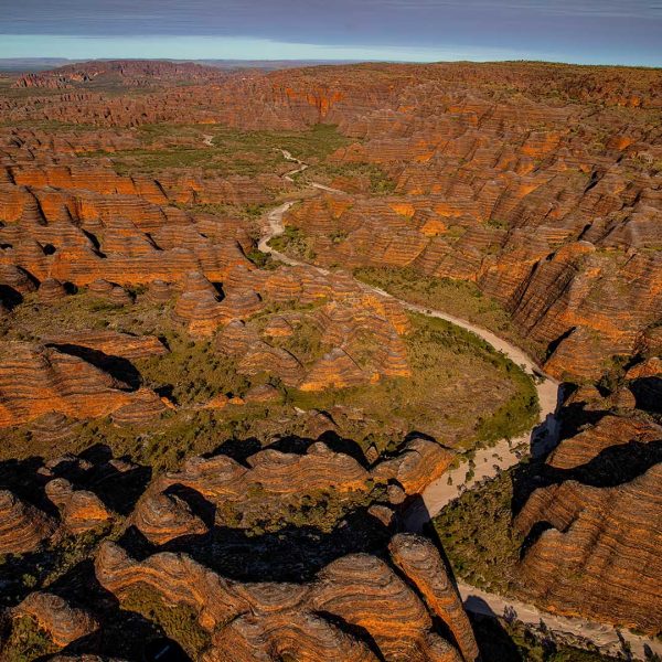 Merit---Martin-Wright---Through-the-Bungles