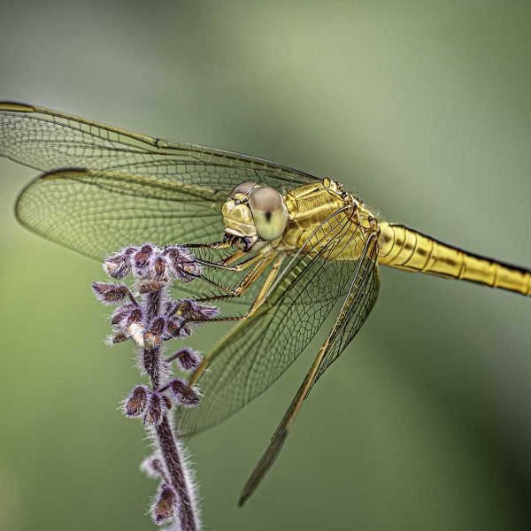 Merit---Nick-Clarke---Holding-Tight