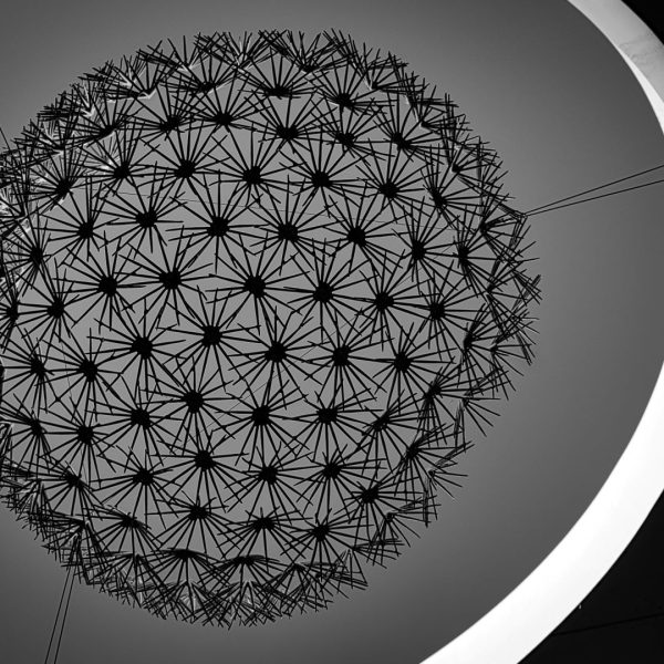 Merit---Paul-Tierney---Sky-Urchin