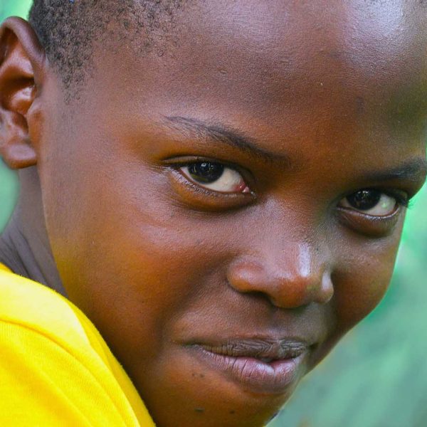 Merit---Peter-White---Cheeky