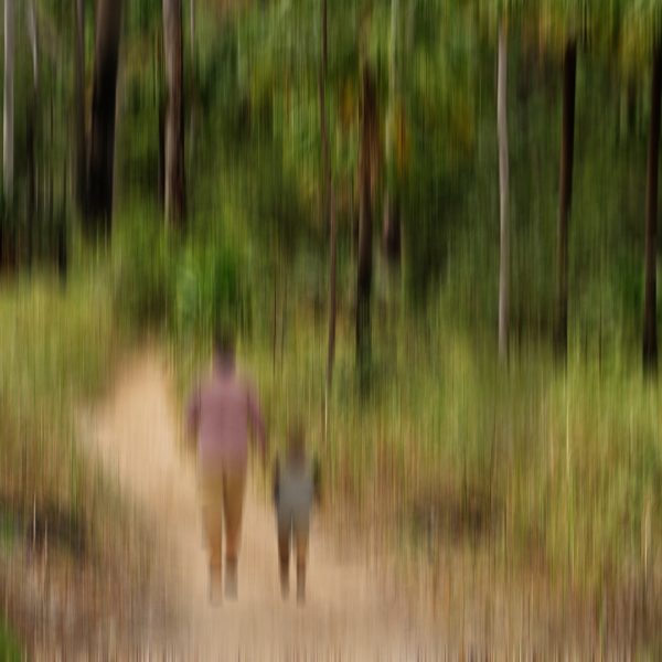 Merit---Rae-Stanaway---Walking-in-the-bush