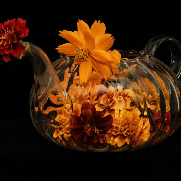 Merit---Shona-Crosthwaite---Just-add-water